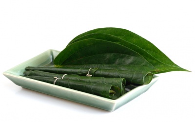 Những lợi ích đáng ngạc nhiên của lá trầu không