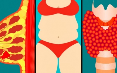 9 yếu tố có thể ảnh hưởng đến hoạt động của tuyến giáp