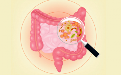 Mất căng bằng hệ sinh thái lợi khuẩn và những vấn đề về sức khỏe