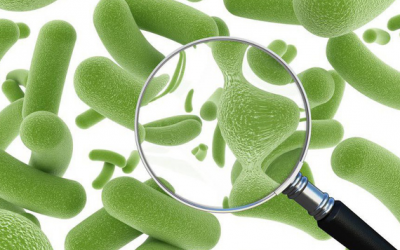 Phân biệt men vi sinh và men tiêu hóa