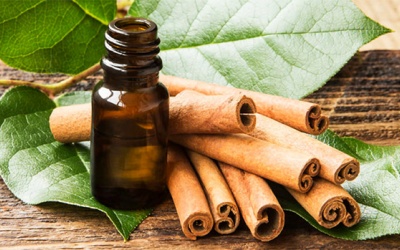 Những loại tinh dầu tốt nhất cho người bệnh đái tháo đường