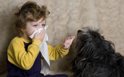 7 cách giúp giảm dị ứng với thú cưng