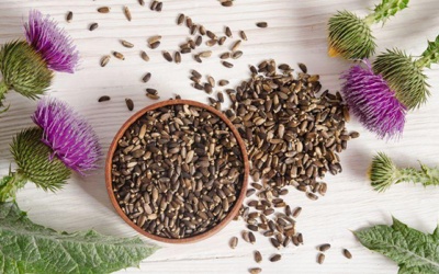 Các loại gia vị, thảo dược giúp chống lão hóa cho chị em