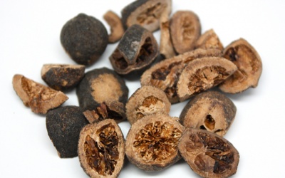 Chỉ thực - thảo dược quý giúp giảm viêm mũi dị ứng