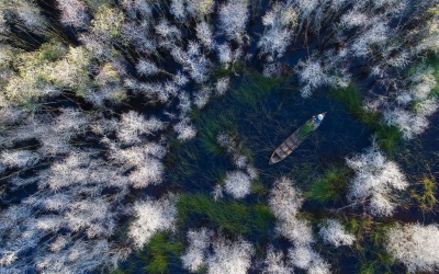 Tác phẩm Rừng Tràm Đồng Tháp đoạt giải thưởng ảnh quốc tế Siena 2018