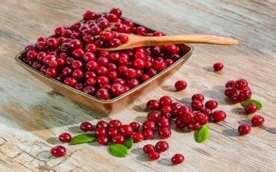 4 lý do vì sao bạn nên ăn nam việt quất thường xuyên hơn