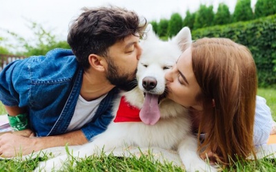 Tử vi thứ Tư (7/11/2018): Nhân Mã đang thấy rất vui vẻ, nhiệt huyết!