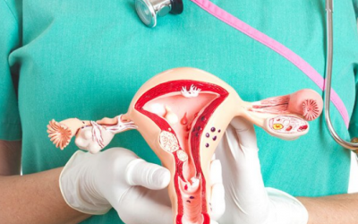 7 triệu chứng u nang buồng trứng dễ bị nhầm lẫn, bỏ qua