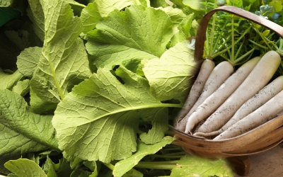 Lá củ cải tốt cho sức khỏe như thế nào?
