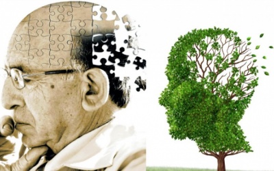 Dễ bị Alzheimer nếu mắc 10 căn bệnh sau