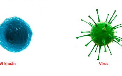 Sự khác nhau giữa vi khuẩn và virus: Nhận biết đúng để điều trị đúng