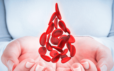 Ăn gì để tăng số lượng tiểu cầu một cách tự nhiên?