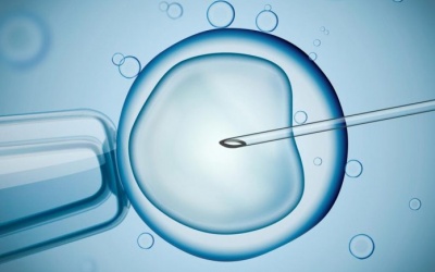 10 mẹo giúp thành công khi thụ tinh trong ống nghiệm IVF