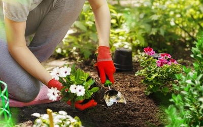 Làm sao để giảm nguy cơ nhiễm trùng huyết?