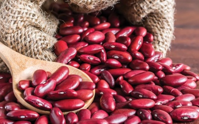 5 lợi ích sức khỏe tuyệt vời của đậu thận