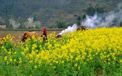 Không khí lạnh suy yếu, Bắc Bộ bớt rét