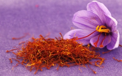 Cuồng nhụy hoa nghệ tây? Hãy cẩn trọng vì những tác dụng phụ này! 