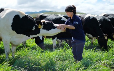 Thị trường sữa đã bão hòa, Vinamilk còn đất nào để tăng trưởng?