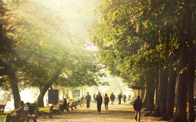 Bắc Bộ rét về đêm và sáng, ngày hửng nắng