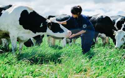 Vinamilk có hệ thống trang trại đạt chuẩn Global G.A.P lớn nhất Châu Á