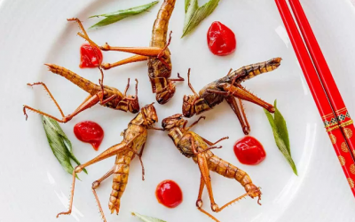 Xu hướng siêu thực phẩm mới: Côn trùng!