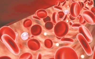 Làm thế nào để tăng mức độ huyết sắc tố trong máu?