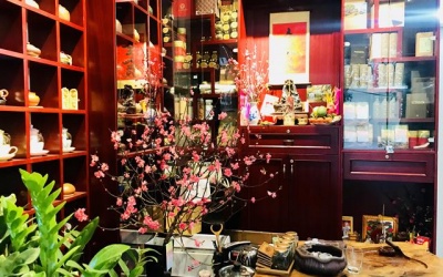 Ngày xuân nói chuyện thưởng trà