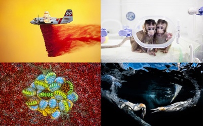 Chiêm ngưỡng những bức ảnh thiên nhiên và khoa học đẹp nhất năm 2018