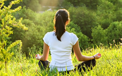 Thiền trong mọi việc - Sống tỉnh thức - Hoan hỉ mỗi ngày