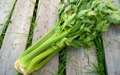 Vì sao người bị tăng huyết áp nên dùng cần tây?