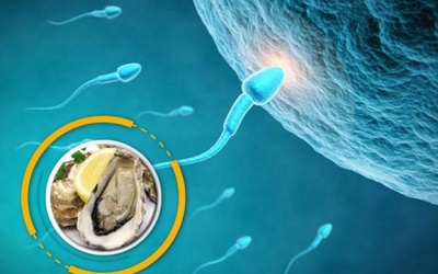 Vì sao đàn ông ăn nhiều hàu lại “khỏe” hơn?