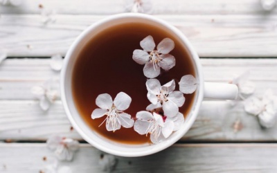 Nên ăn gì uống gì để làm chậm quá trình lão hóa?
