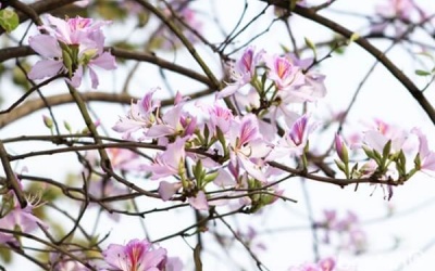 Nam Bộ nắng nóng, Bắc Bộ mát mẻ dịp cuối tuần