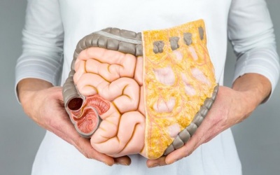 4 loại thảo dược có tác dụng cải thiện tiêu hóa hiệu quả