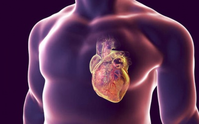 5 loại bệnh nhiễm trùng làm tăng nguy cơ đau tim, đột quỵ