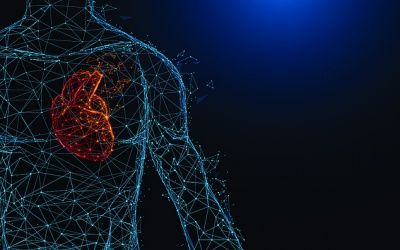 Sử dụng thảo mộc có giúp điều trị bệnh van động mạch chủ? 