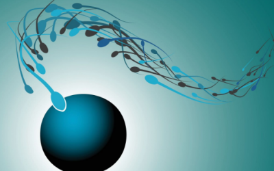 Vô sinh nam: Nguyên nhân, triệu chứng và cách điều trị 