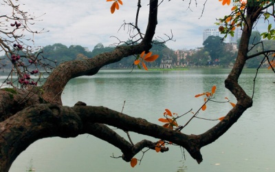 Bắc Bộ se lạnh, Nam Bộ oi nóng trong ngày Quốc tế Phụ nữ 8/3