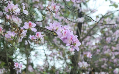 Bắc Bộ se lạnh, Nam Bộ tiếp tục nắng nóng