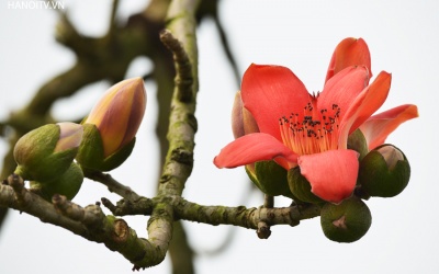 Bắc Bộ nắng ráo đến hết ngày mai