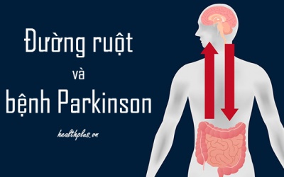 Cần thêm nghiên cứu xác định mối liên hệ giữa đường ruột và bệnh Parkinson 