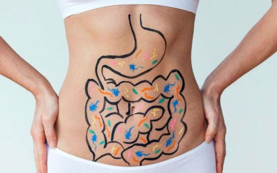 Cải thiện hệ tiêu hóa bằng các loại thảo được