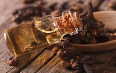 Tinh dầu đinh hương và những lợi ích ít người biết đến