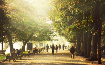 Bắc Bộ nắng ấm hết ngày mai