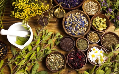 6 thảo dược cân bằng nồng độ hormone cortisol, tăng năng lượng tự nhiên