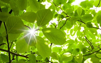 Bắc Bộ ấm dần, Nam Bộ tiếp tục nắng nóng