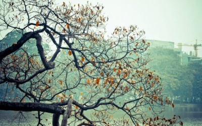 Bắc Bộ chuyển rét do đón không khí lạnh tăng cường