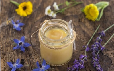 6 lợi ích của sữa ong chúa đối với sức khỏe