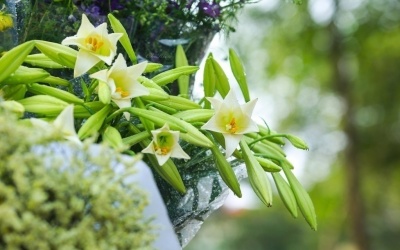 Bắc Bộ và Trung Bộ tạnh ráo hơn từ ngày mai