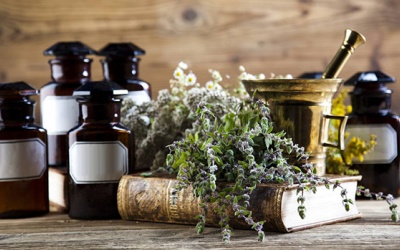 9 loại thảo dược mạnh mẽ nhất đã được khoa học chứng minh